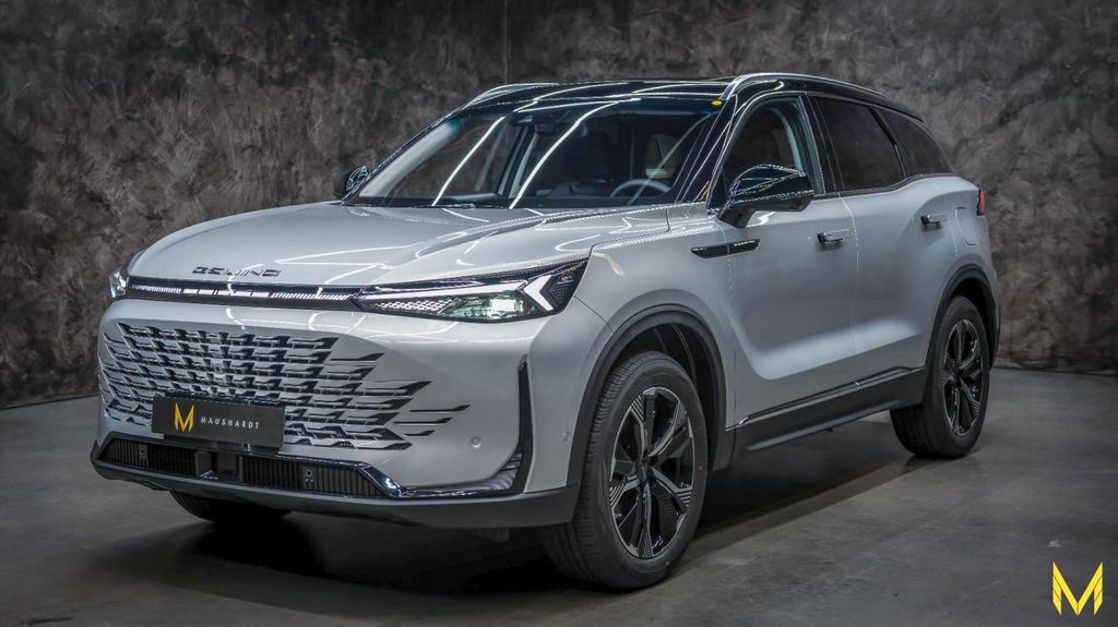 BAIC Other