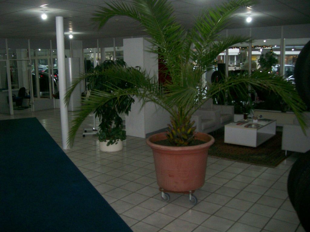 Mercedes-Benz A 180 2021