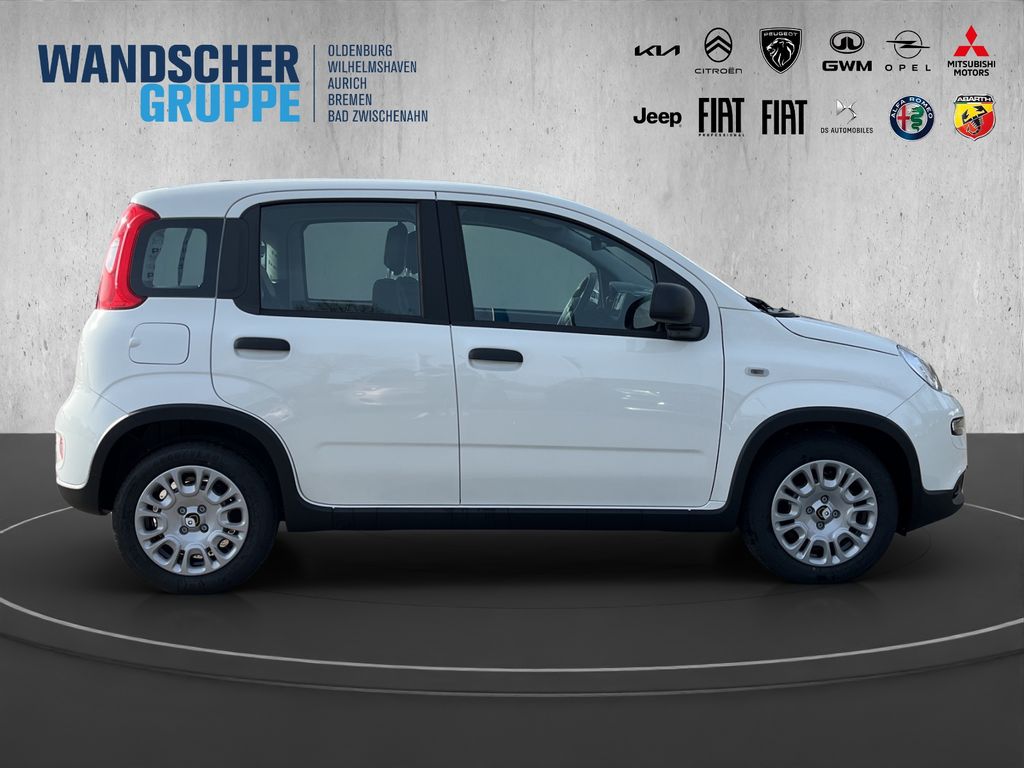 Fiat Panda 2025