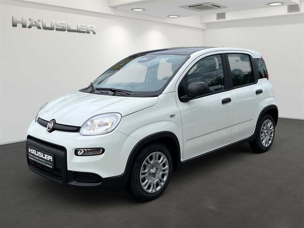 Fiat Panda 2024