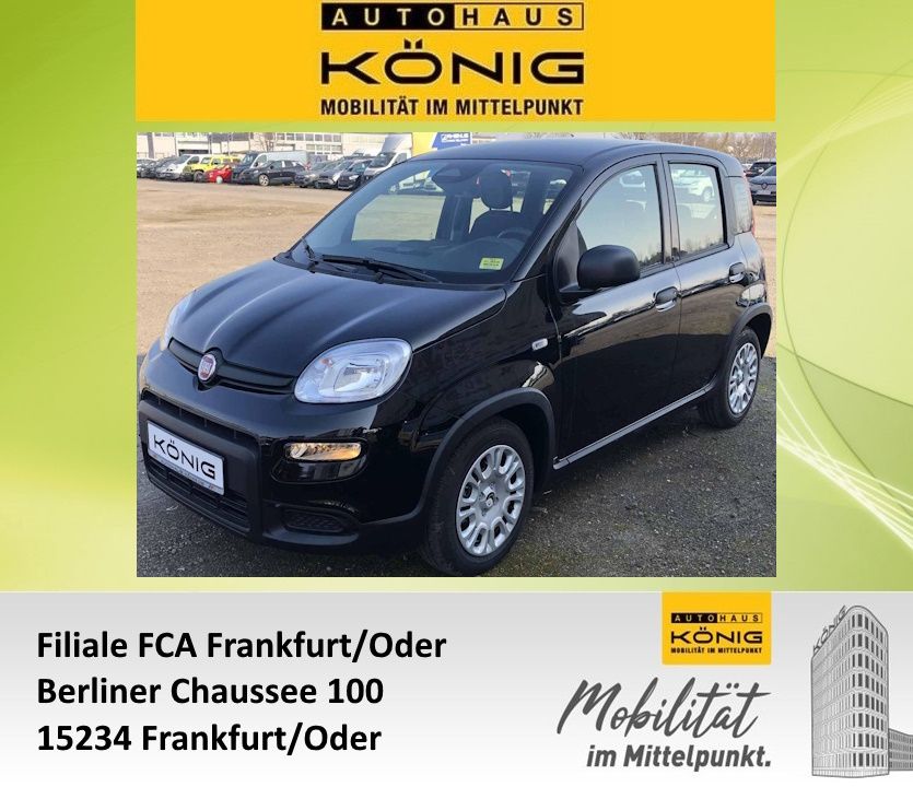 Fiat Panda 2024