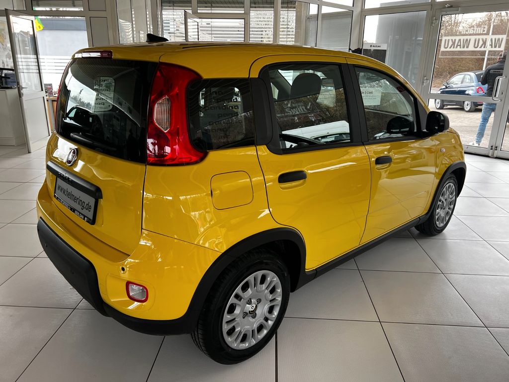 Fiat Panda 2024