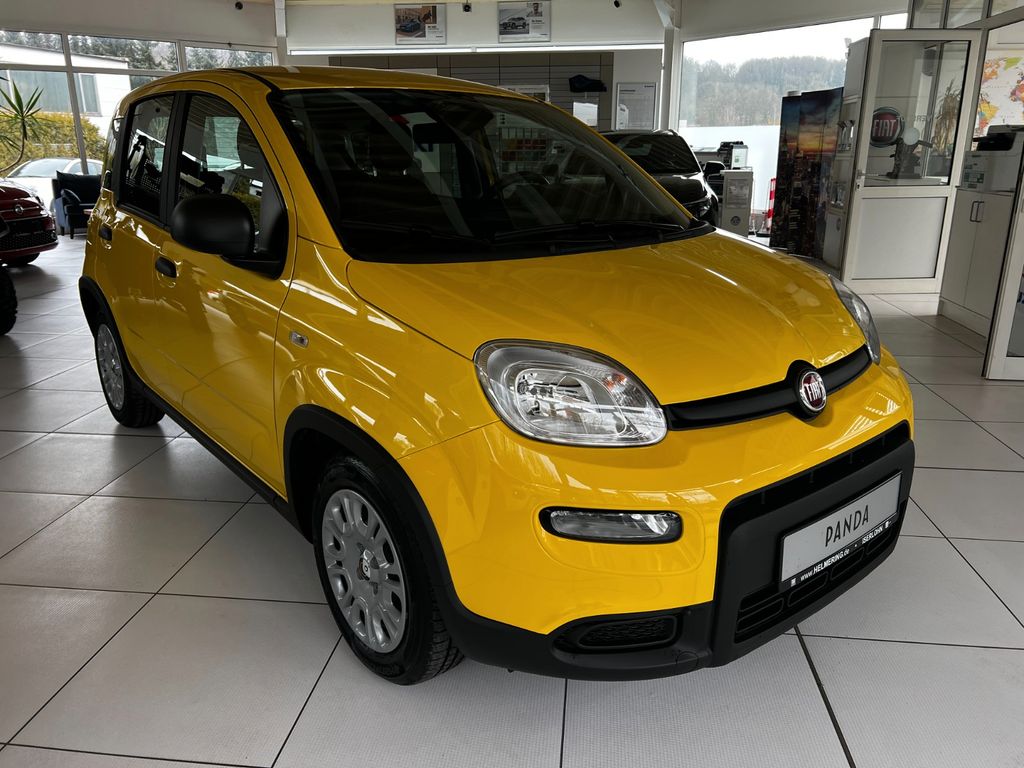 Fiat Panda 2024