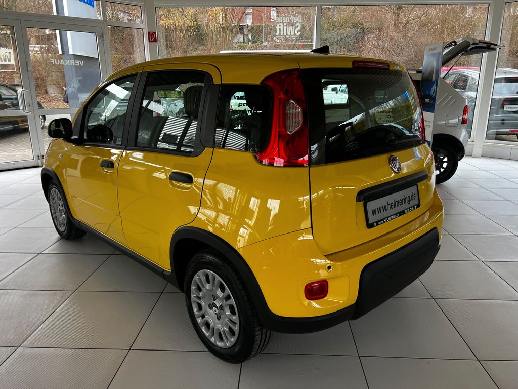 Fiat Panda 2024