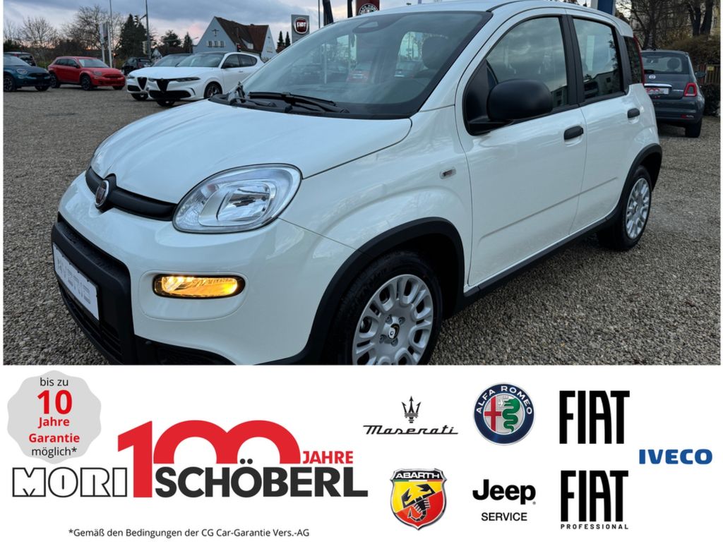 Fiat Panda 2025