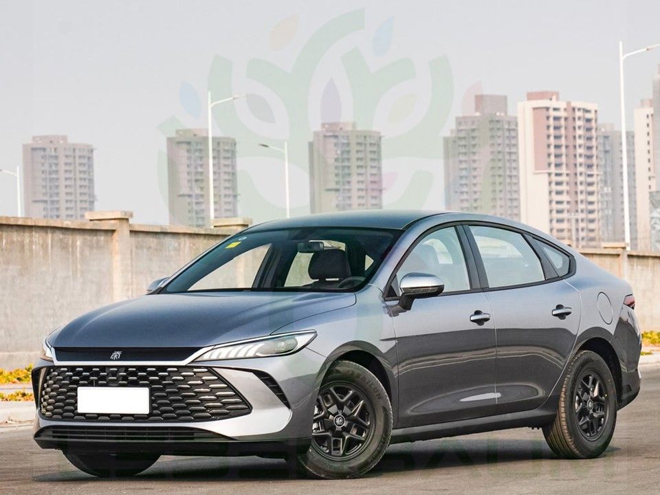 BYD Other 2025