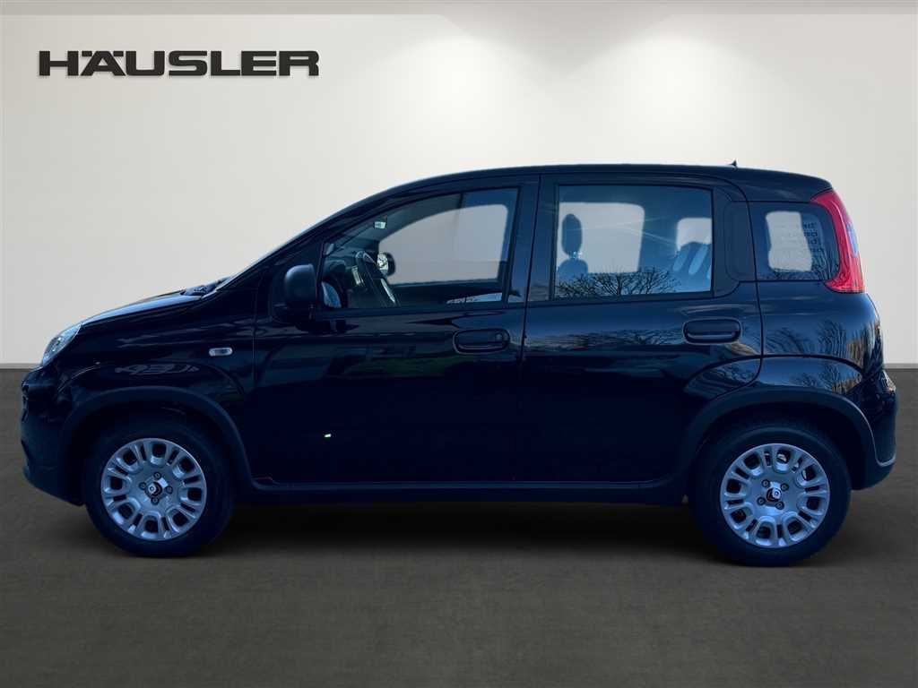 Fiat Panda 2024