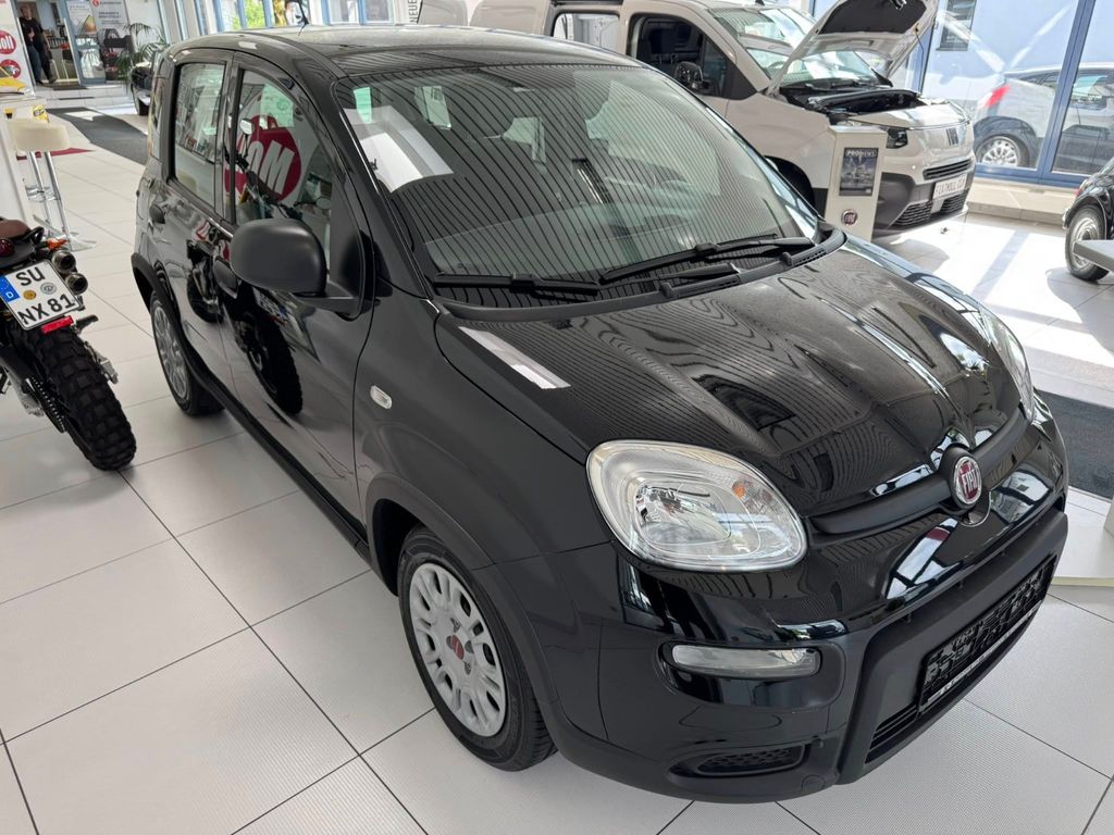 Fiat Panda 2024