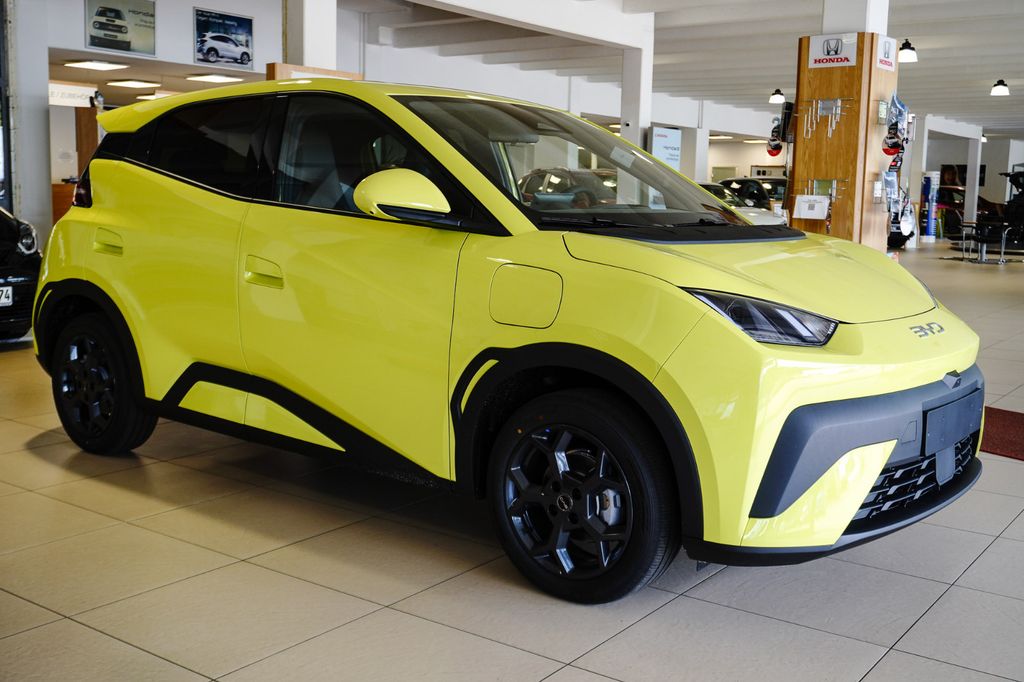 BYD DOLPHIN 2025