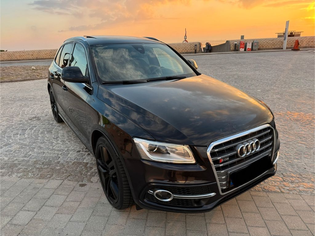 Audi SQ5 2013