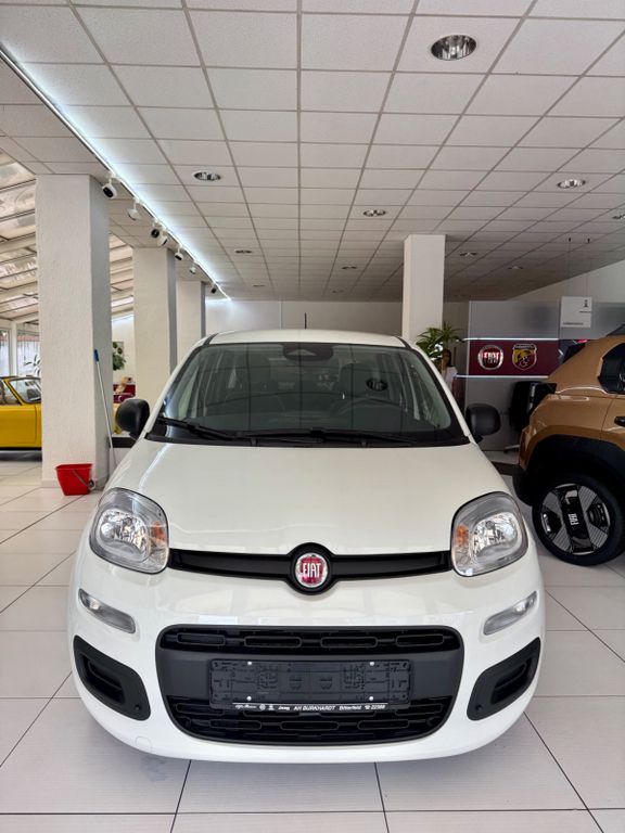 Fiat Panda 2025