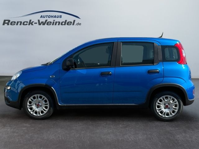 Fiat Panda 2025