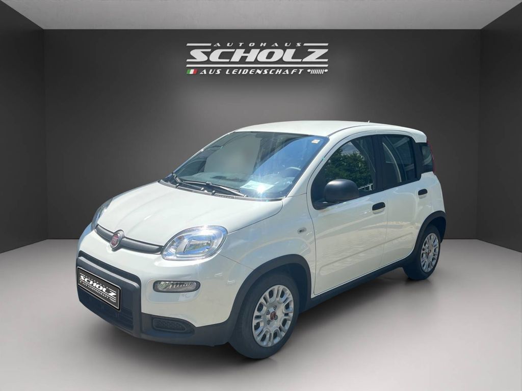 Fiat Panda 2024