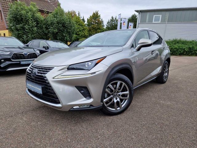 Lexus NX 300 2021
