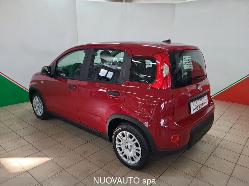 Fiat Panda 2024