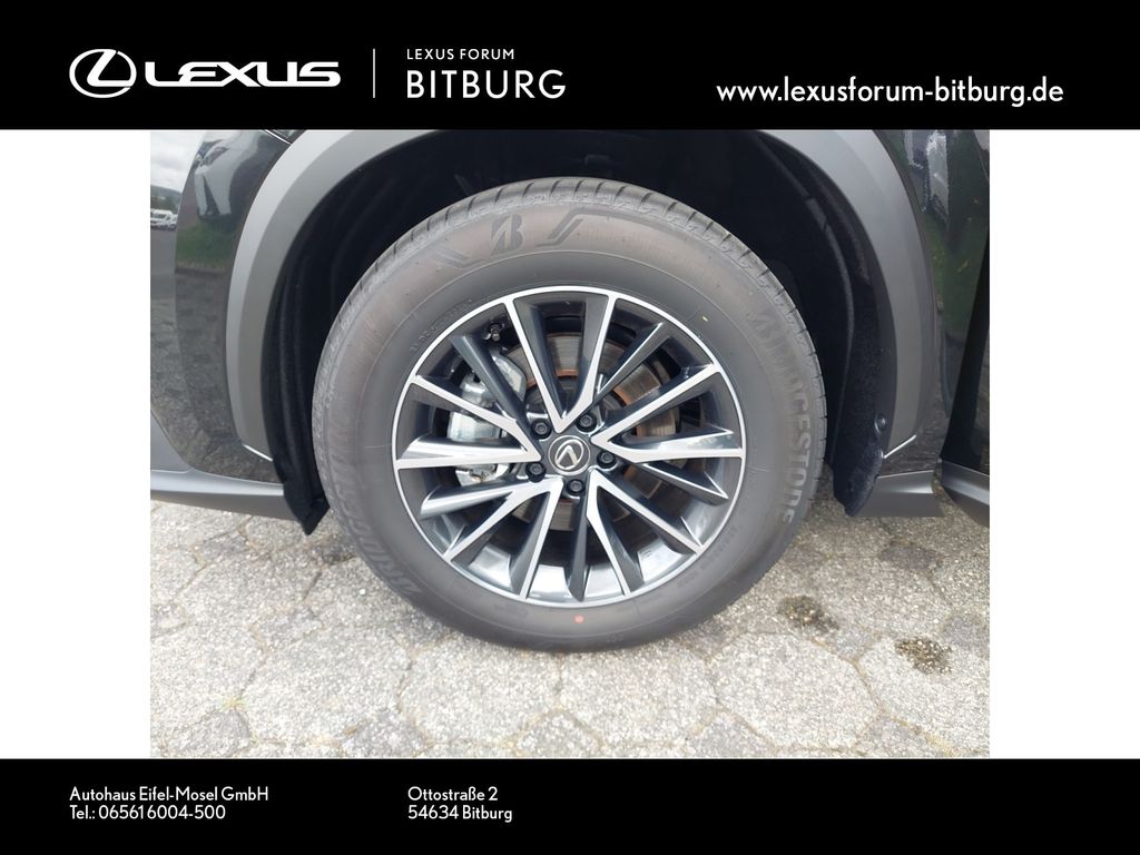 Lexus NX 350h