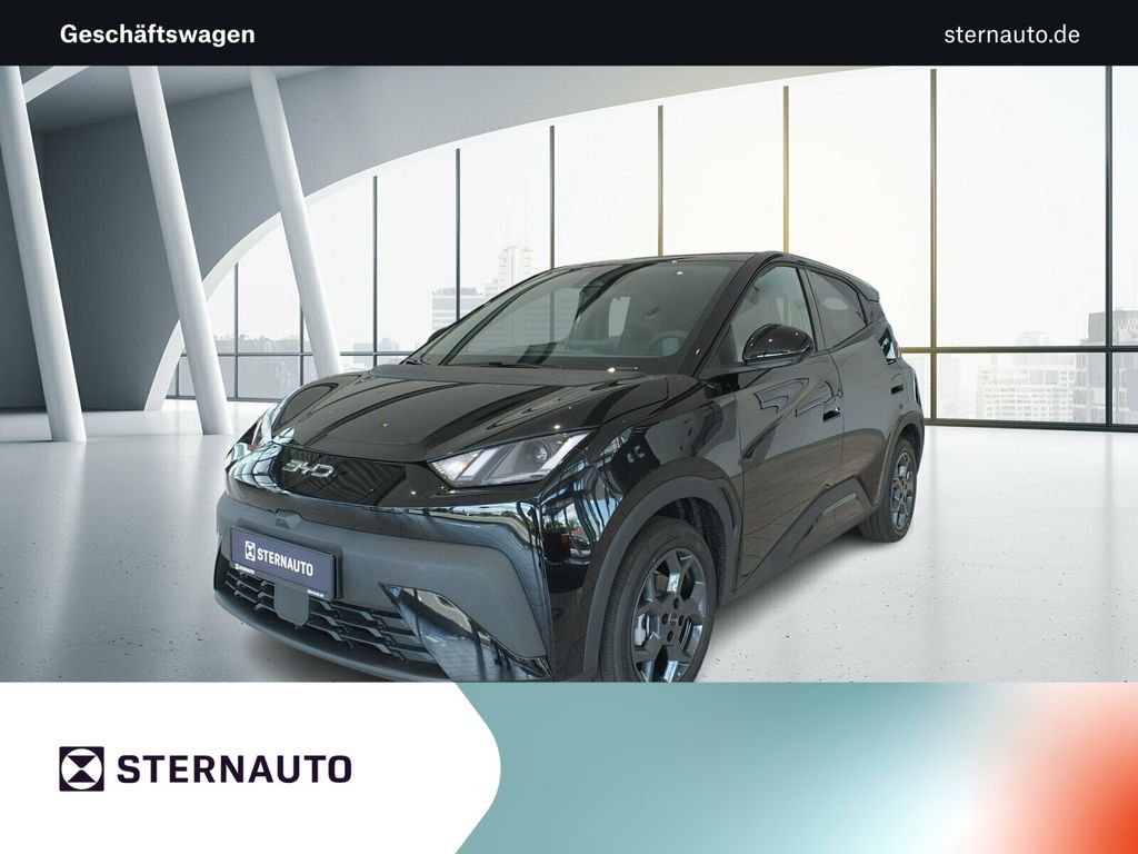 BYD DOLPHIN 2025