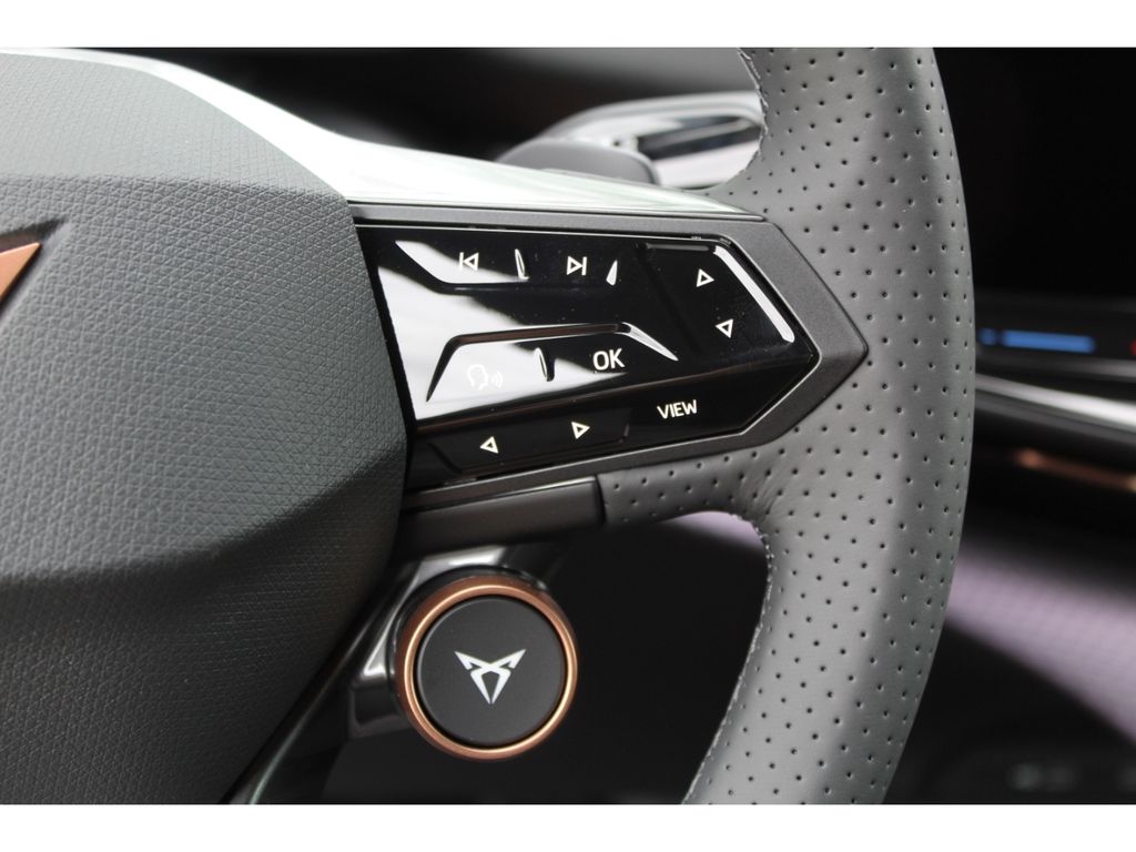 Cupra Tavascan