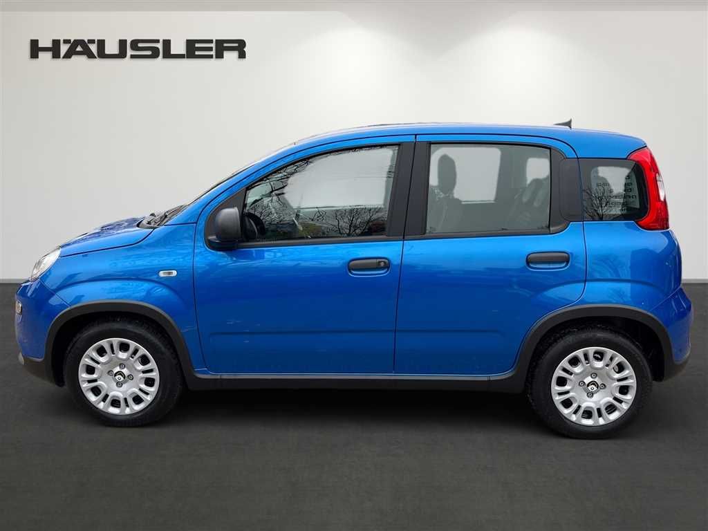Fiat Panda 2024