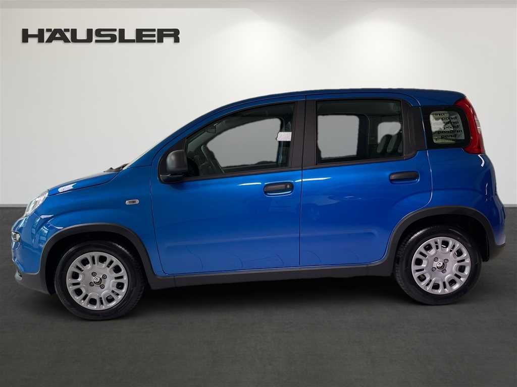 Fiat Panda 2024