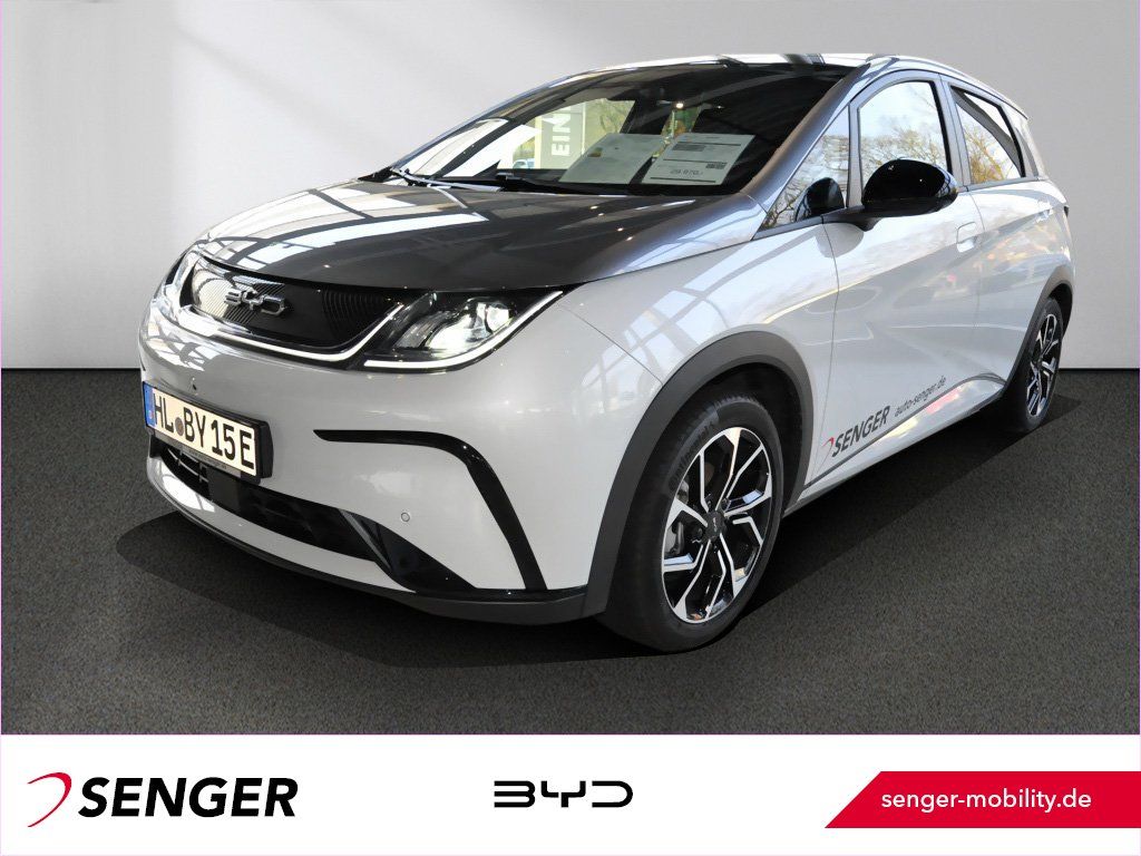 BYD DOLPHIN 2024
