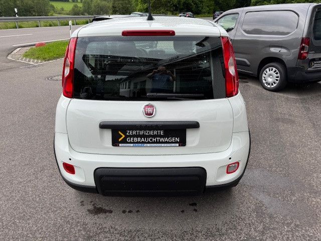 Fiat Panda 2025