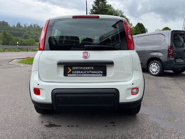 Fiat Panda 2025