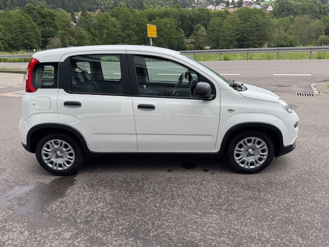 Fiat Panda 2025