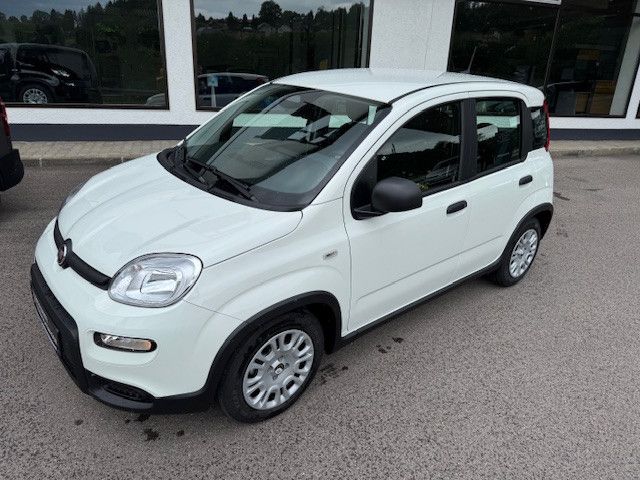 Fiat Panda 2025