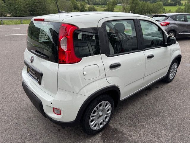 Fiat Panda 2025