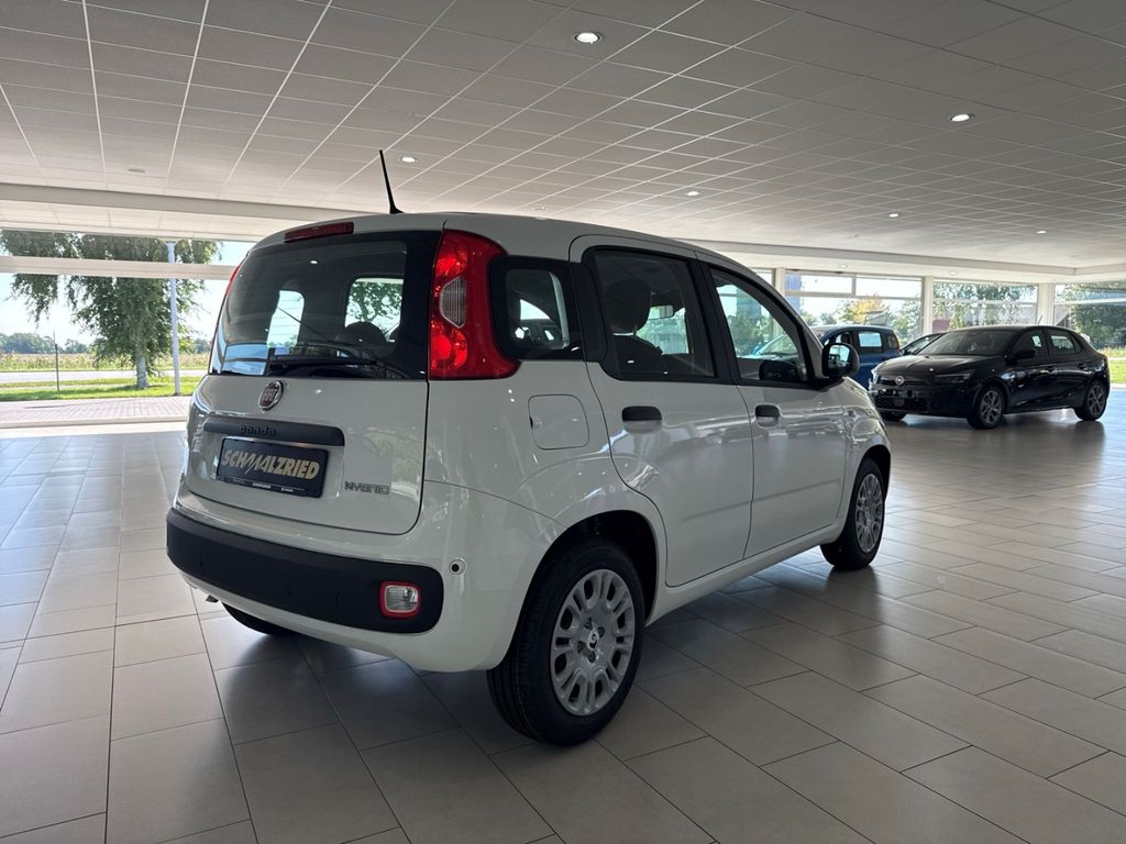 Fiat Panda 2025