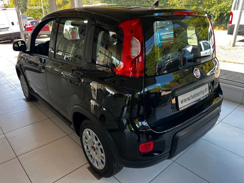 Fiat Panda 2024