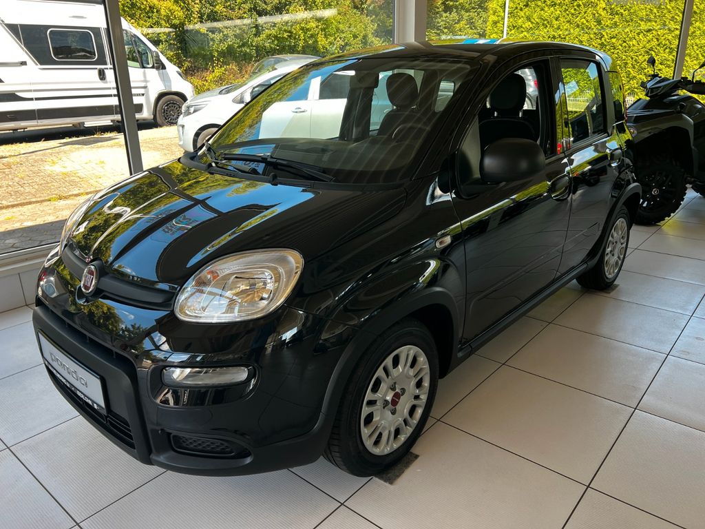 Fiat Panda 2024