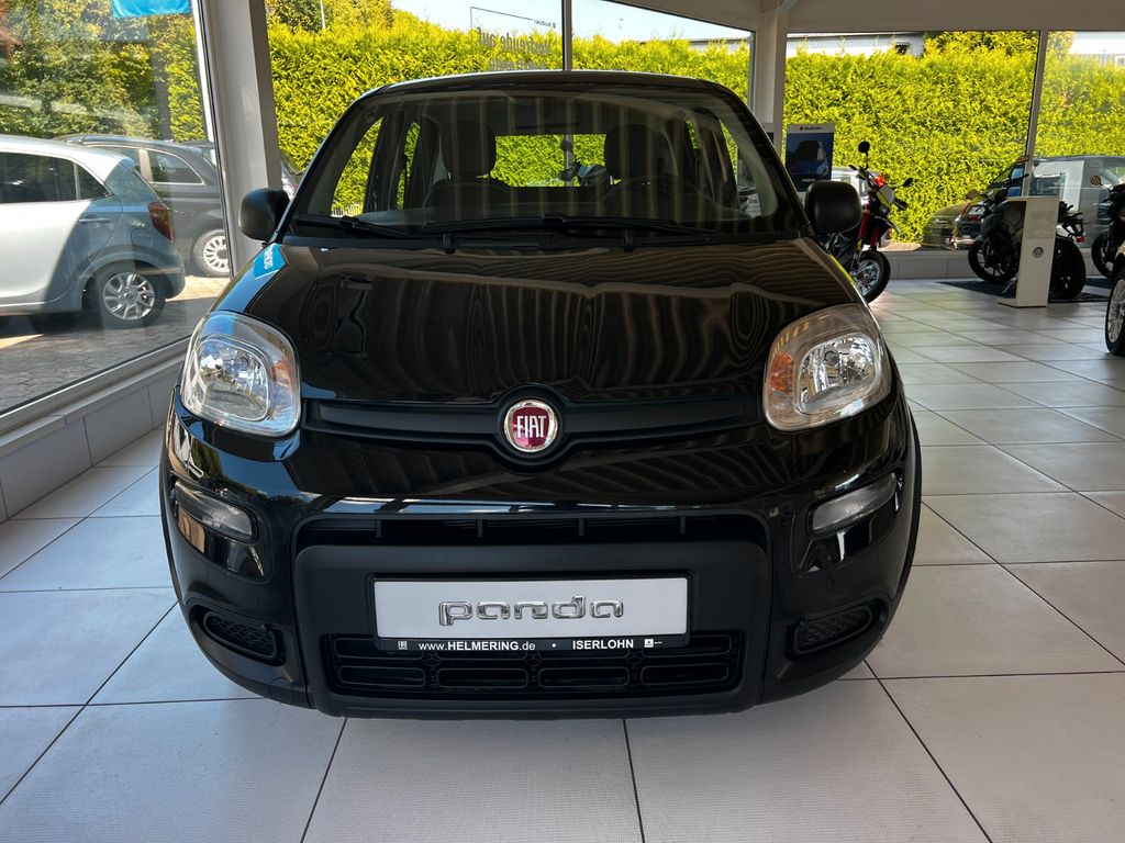 Fiat Panda 2024