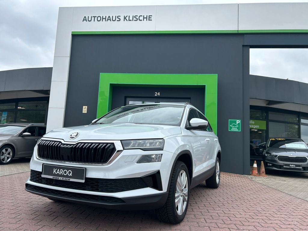 Skoda Karoq 2024