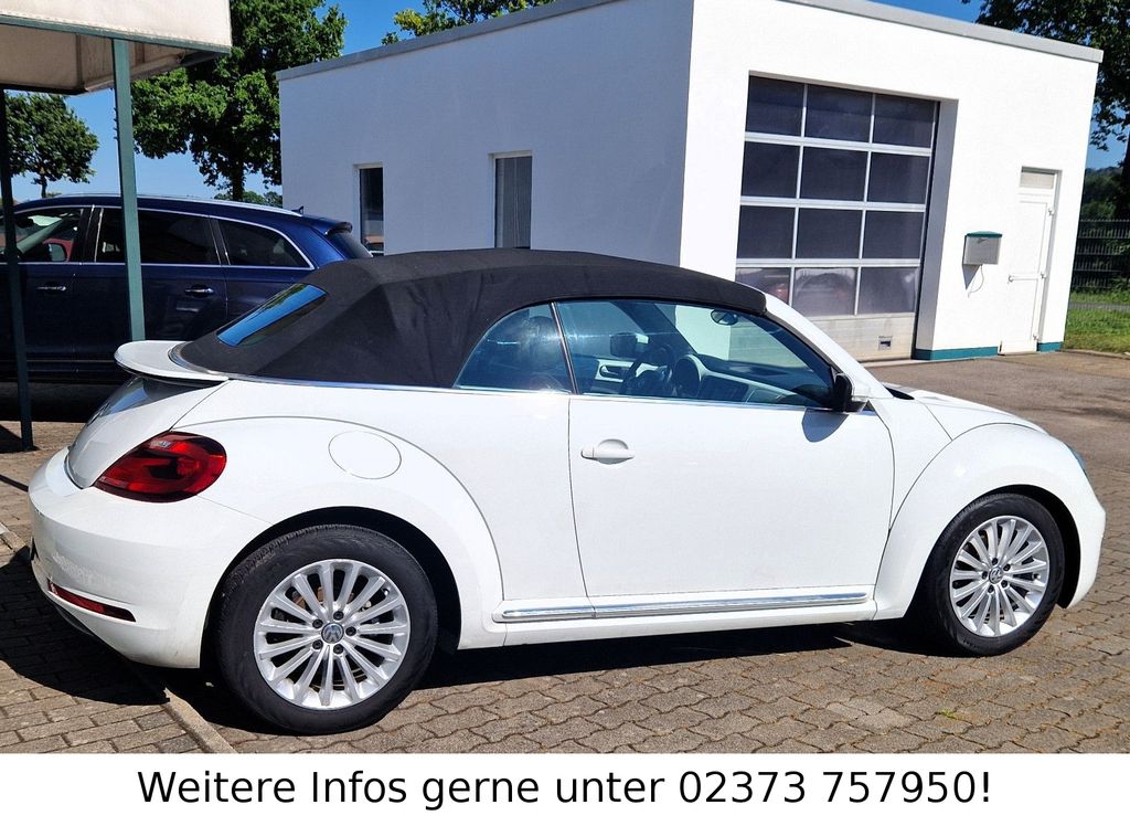 Volkswagen Beetle 2019