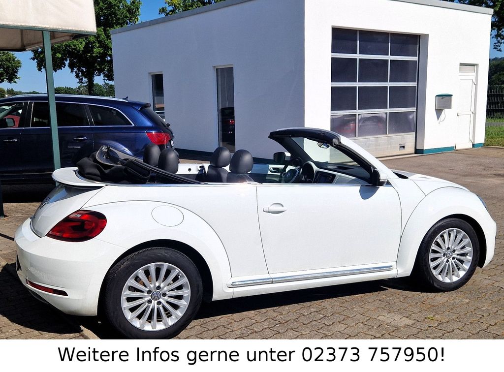 Volkswagen Beetle 2019