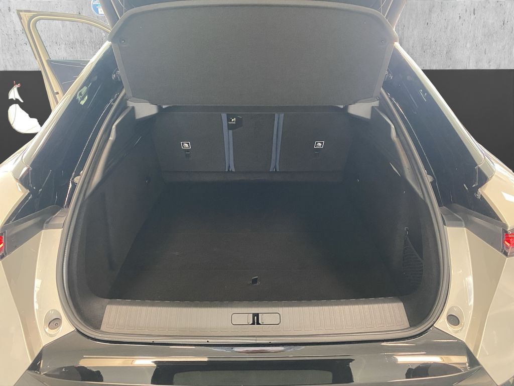 DS Automobiles Other