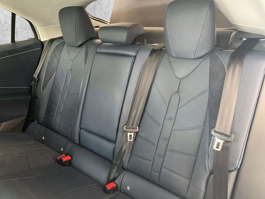 DS Automobiles Other