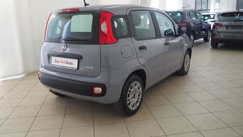 Fiat Panda 2021