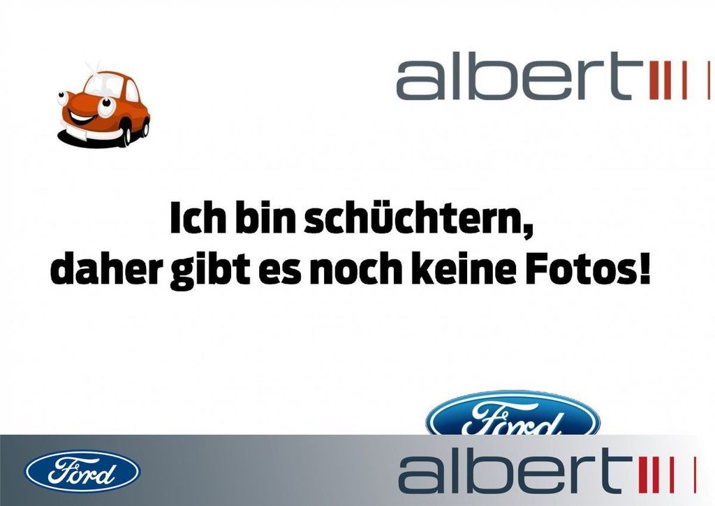 Ford Tourneo 2025