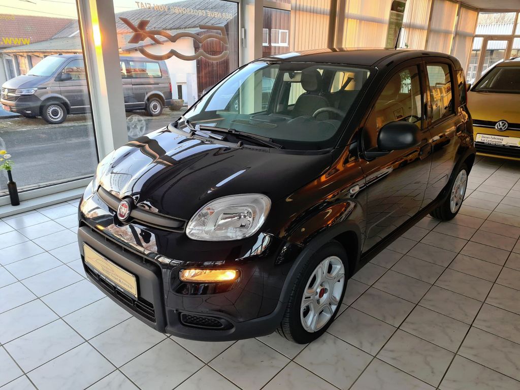 Fiat Panda 2024