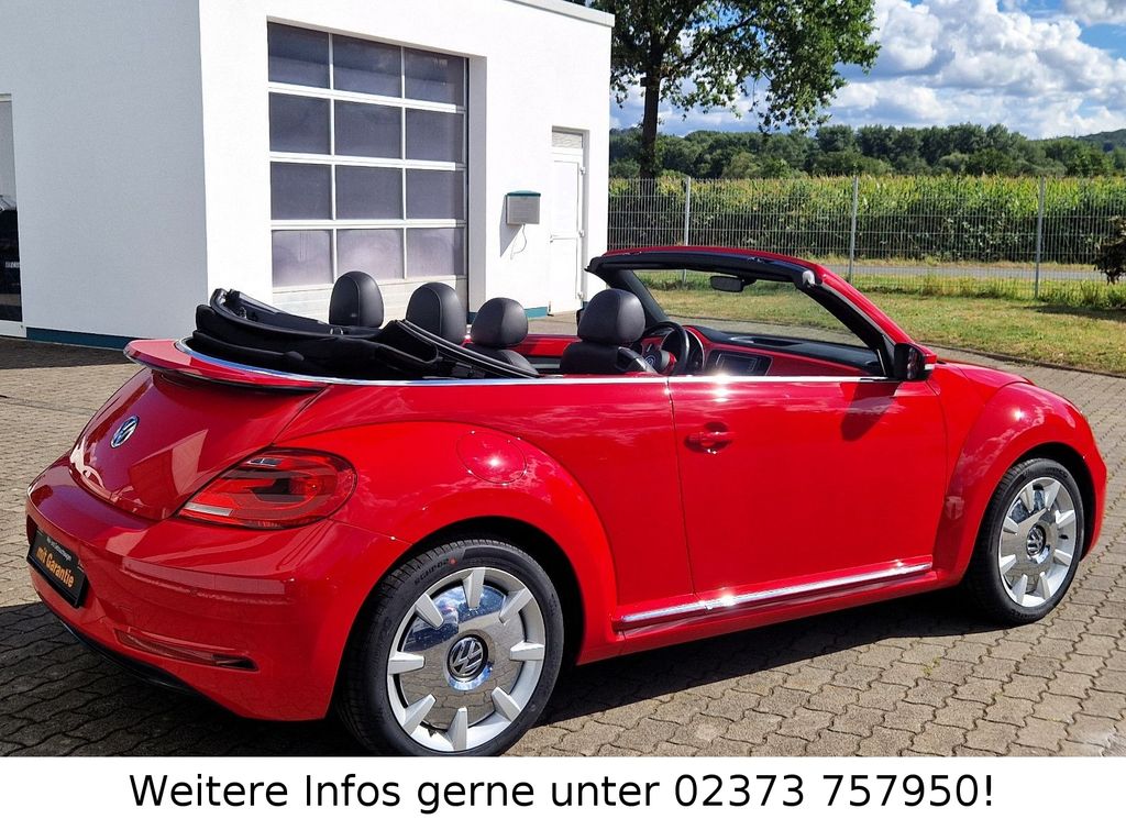 Volkswagen Beetle 2019