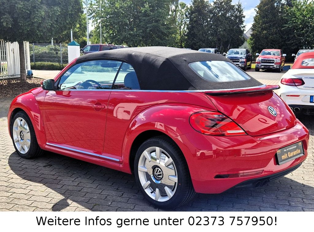 Volkswagen Beetle 2019