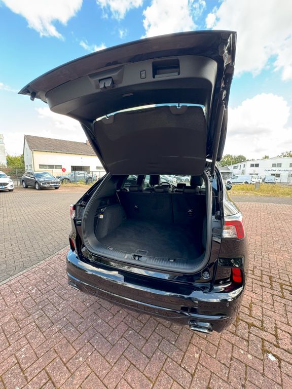 Ford Kuga 2023