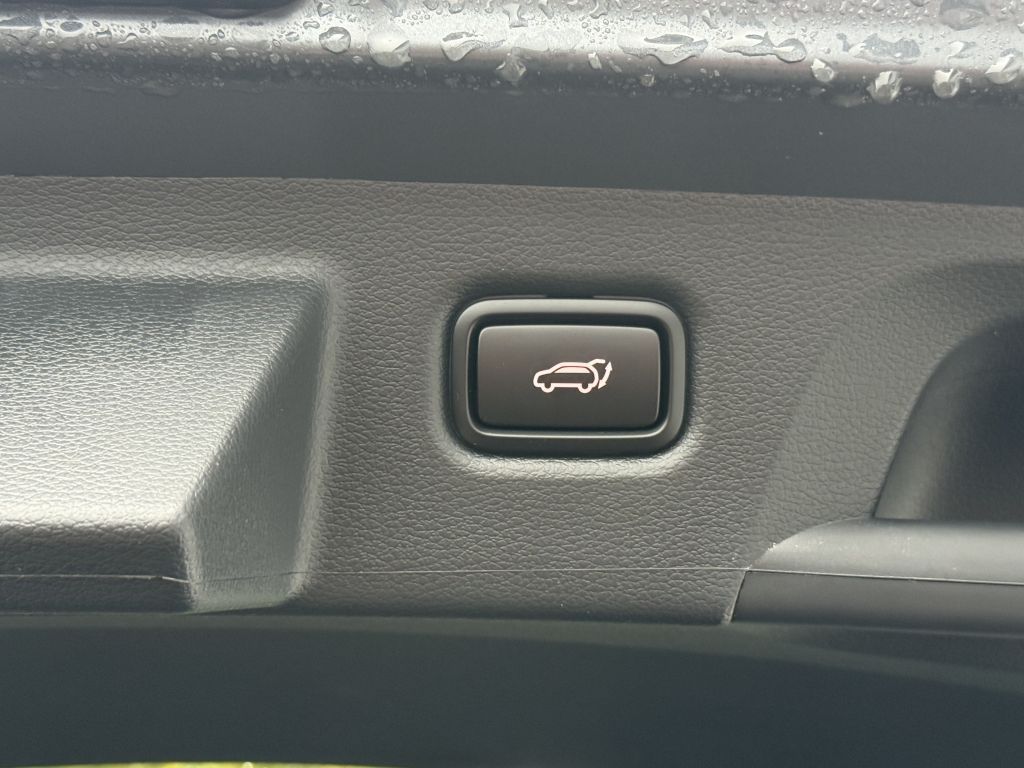 Kia pro cee'd / ProCeed 2025