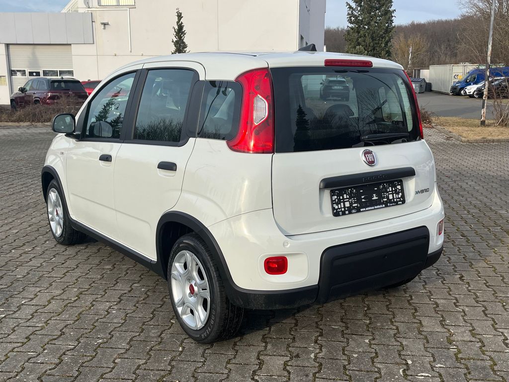 Fiat Panda 2024