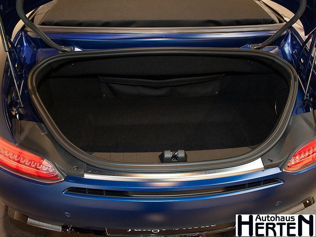 Mercedes-Benz AMG GT R 2019