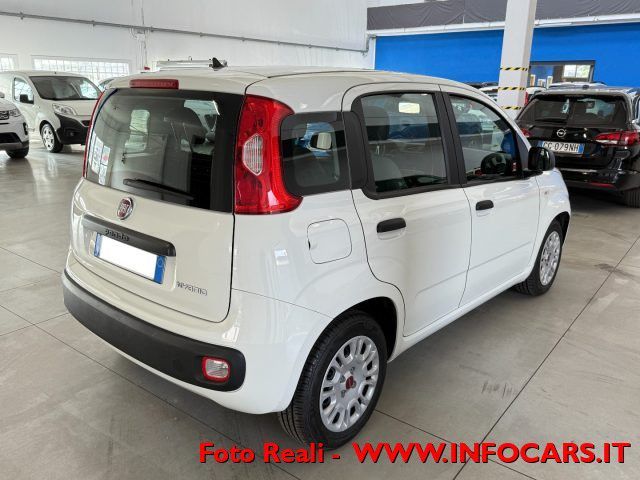 Fiat Panda 2022