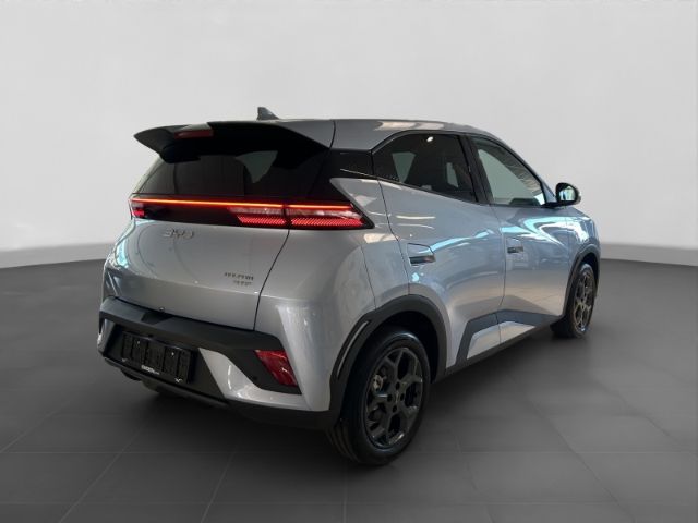 BYD DOLPHIN 2025